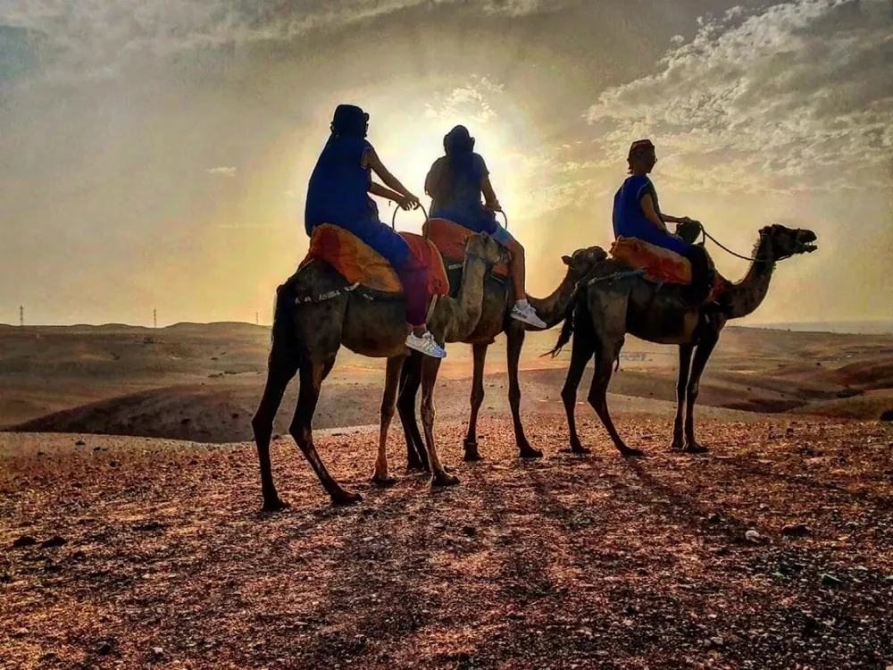 Desierto de Agafay – Paseo en Camello y Cena con Espectáculo