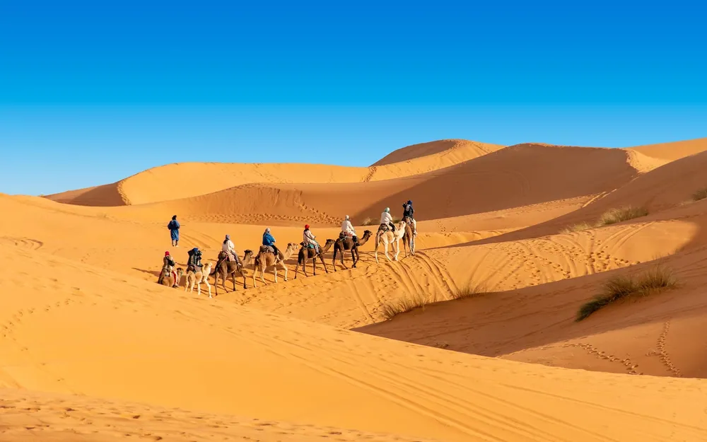 Passeio de Camelo no Deserto do Saara: Como Funciona e Vale a Pena?
