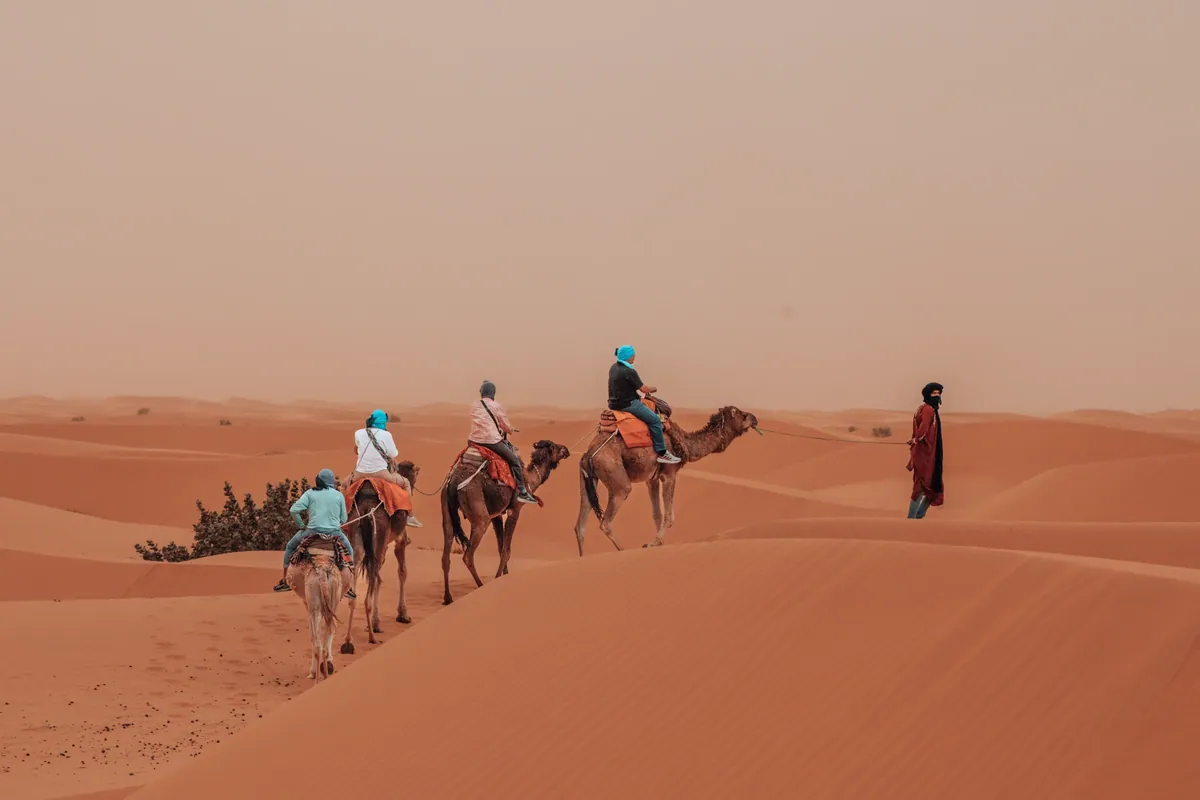 ¿Cuál es la mejor época para visitar el desierto del Sáhara?