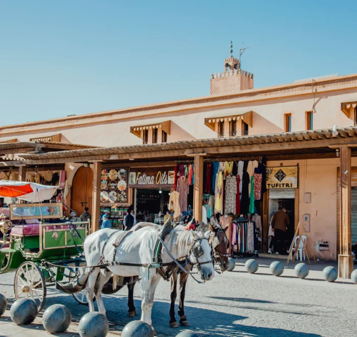 Passeios de Marrakech